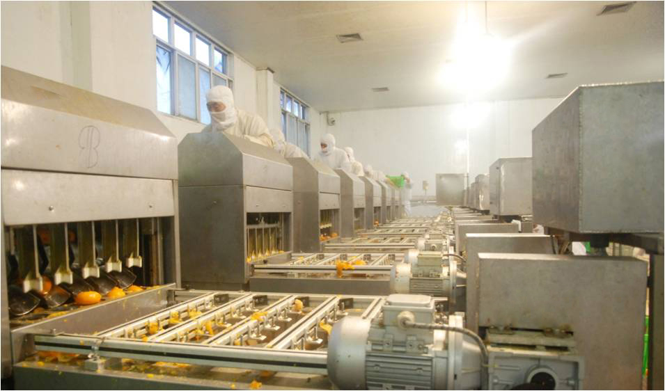 以&ldquo;新&rdquo;赋能,&ldquo;味&rdquo;见未来!丰岛食品走出绿色智造之路